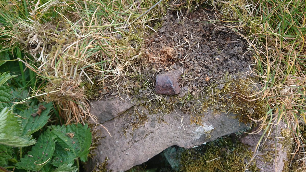 Uncovered a horseshoe...