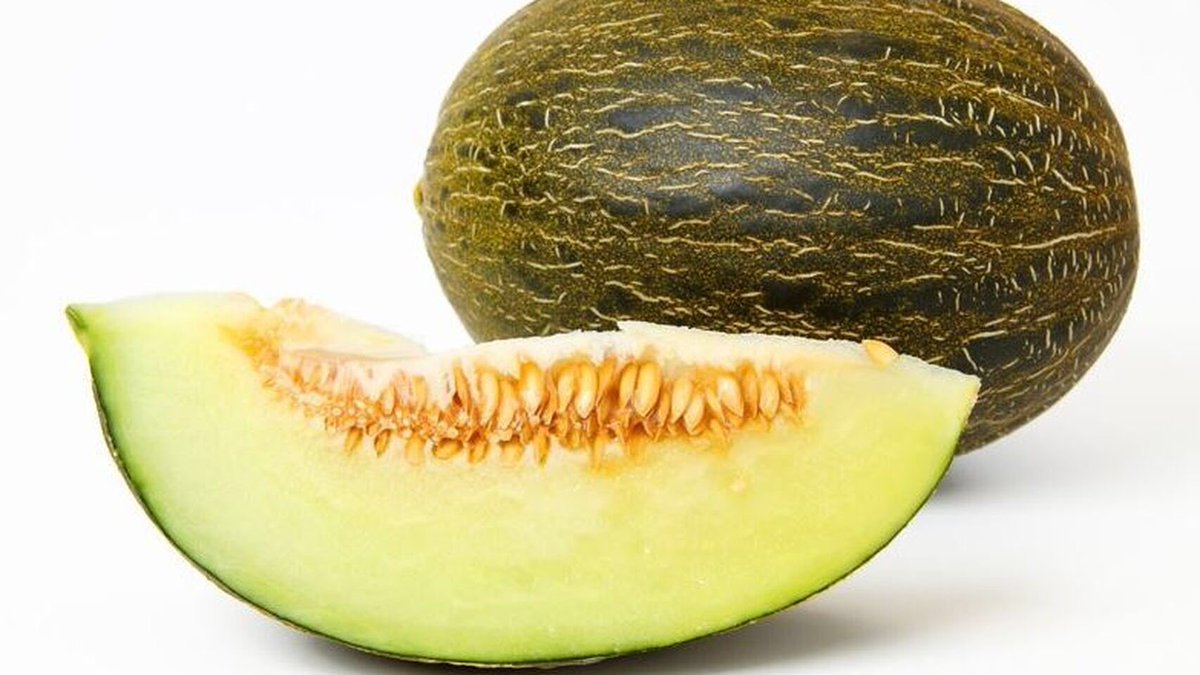 mmariarb's tweet photo. Por favor no me falléis, ahora que llega el verano sois más de 
Rt: melón
Fav: sandía https://t.co/6ICOi2YnI2