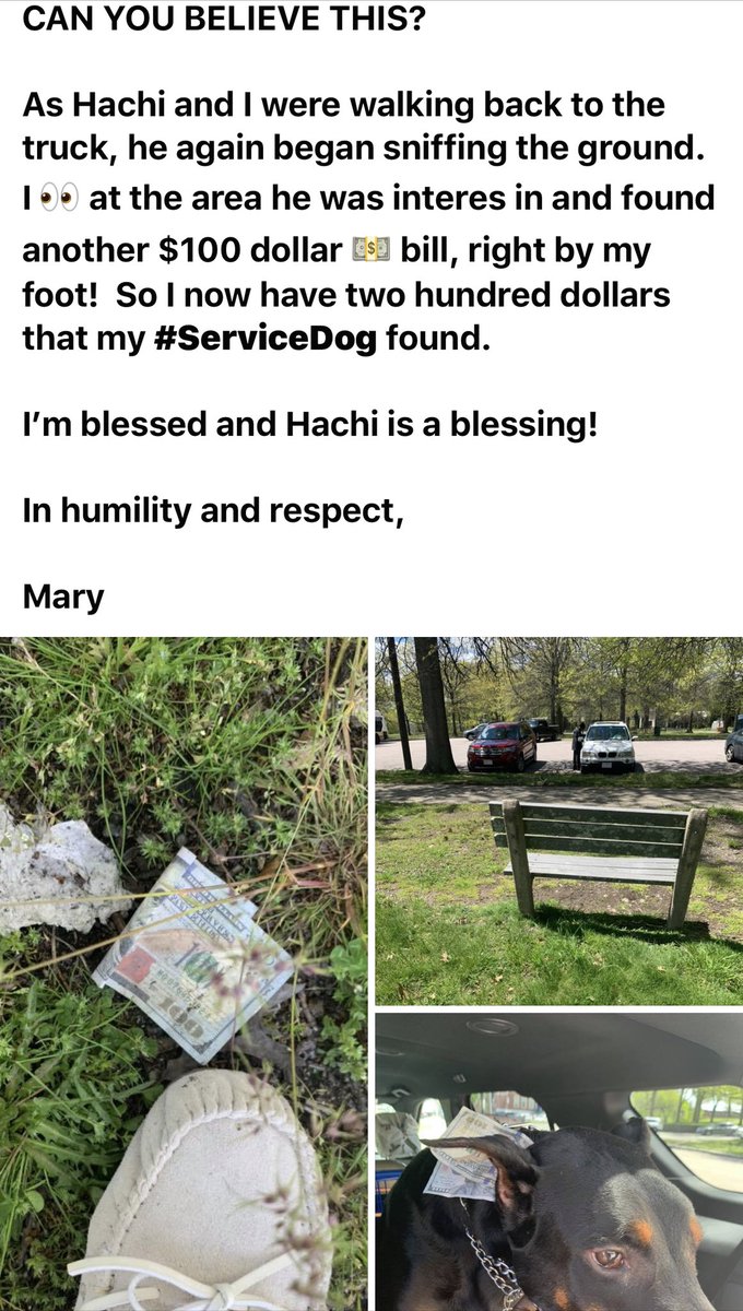Mel & Mary's Journey tweet media