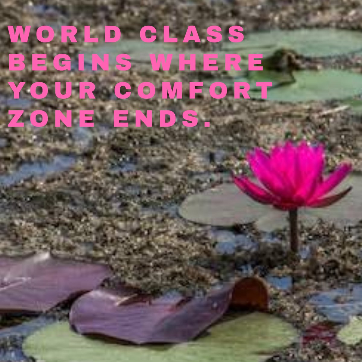 Sagarcasm_MUFC's tweet photo. Sagarcasm Daily Dose:-
Day 1
World Class
Begins
Where your
Comfort Zone
Ends.
#365daysofhappiness https://t.co/RMetXgcaFy