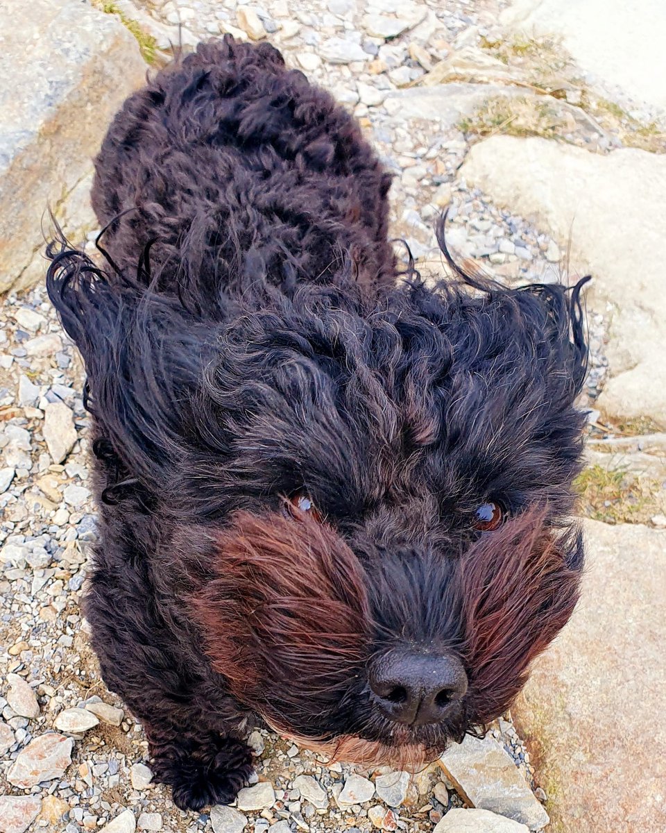 tinyteew's tweet photo. #lastnormalphoto https://t.co/am2dgsXqaN