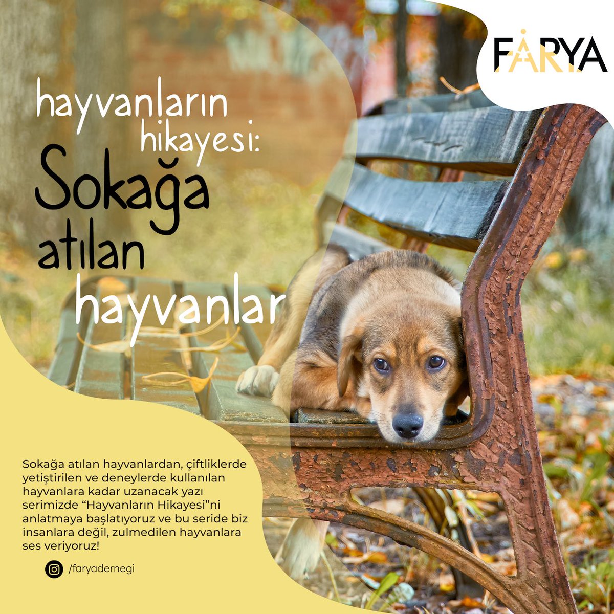 faryadernegi's tweet photo. Hayvanların Hikayesi: Sokağa Atılan Hayvanlar
#hayvanaşiddetsuçtur
#animalplanet
#hayvanlarıkoruyalım
#hayvandostu
#hayvanlarıkoru
#hayvanlarınsesiol
#animlarights
#animallowers
#hayvanlarasahipçık https://t.co/pNzx9FExgc