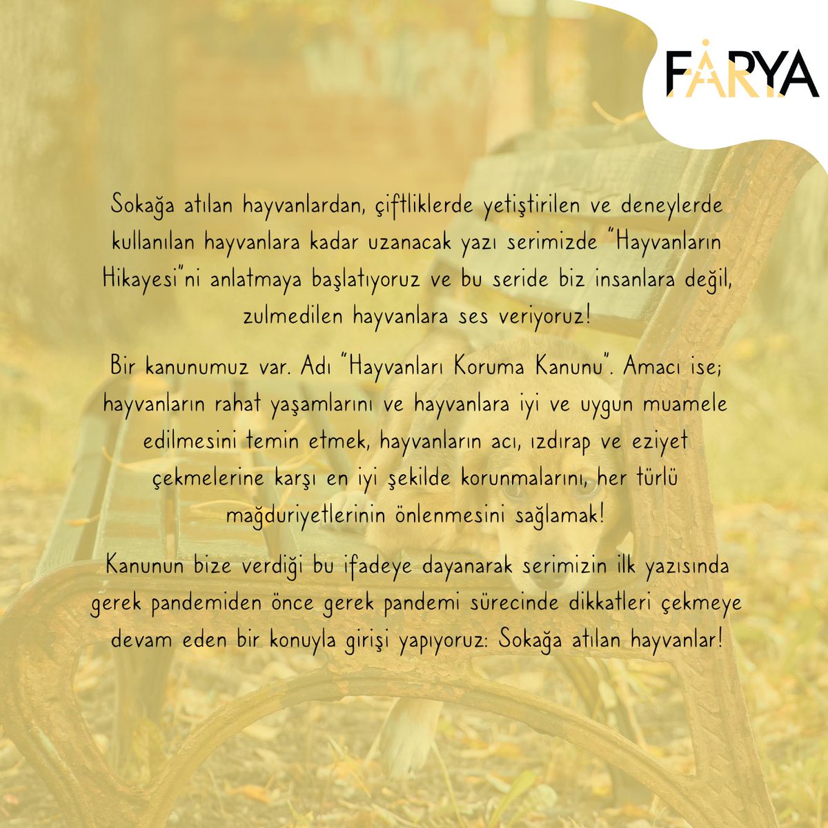 faryadernegi's tweet photo. Hayvanların Hikayesi: Sokağa Atılan Hayvanlar
#hayvanaşiddetsuçtur
#animalplanet
#hayvanlarıkoruyalım
#hayvandostu
#hayvanlarıkoru
#hayvanlarınsesiol
#animlarights
#animallowers
#hayvanlarasahipçık https://t.co/pNzx9FExgc