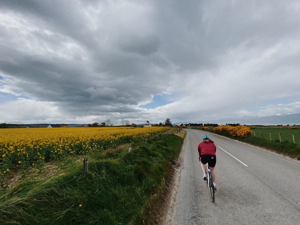 JohnyCook's tweet photo. 78k of trying to avoid flies in the mouth, rain and dealing with a headwind for 27k 🤷🏼 #roadbiking #bloodyheadwind #flysnacks https://t.co/oNkqsAUMcu