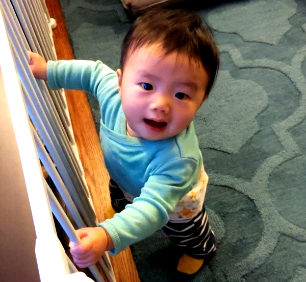 WigglyNibbles's tweet photo. Easy exercise to do at home if you have a gate: pull-ups.

Just grab the bars and pull yourself up.  I'll bet you'll be strong soon!  🥰

#wigglynibbles #exercise #StayHome https://t.co/3qrY9dePY2
