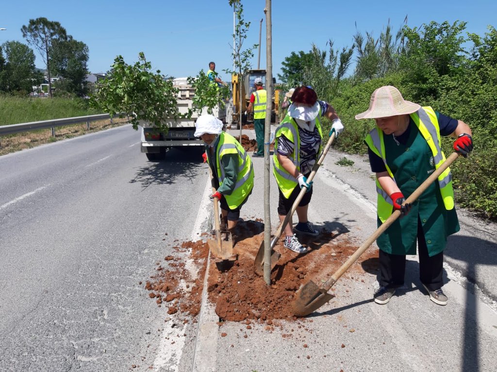 The tree planting season 🌳🙏🏻  is still going on. One  of the most beloved periods for all of us, as the greenery of Tirana is what we all want. ♥️🤩
 #ThinkGreen 💚 #ActGreen 💪🏻