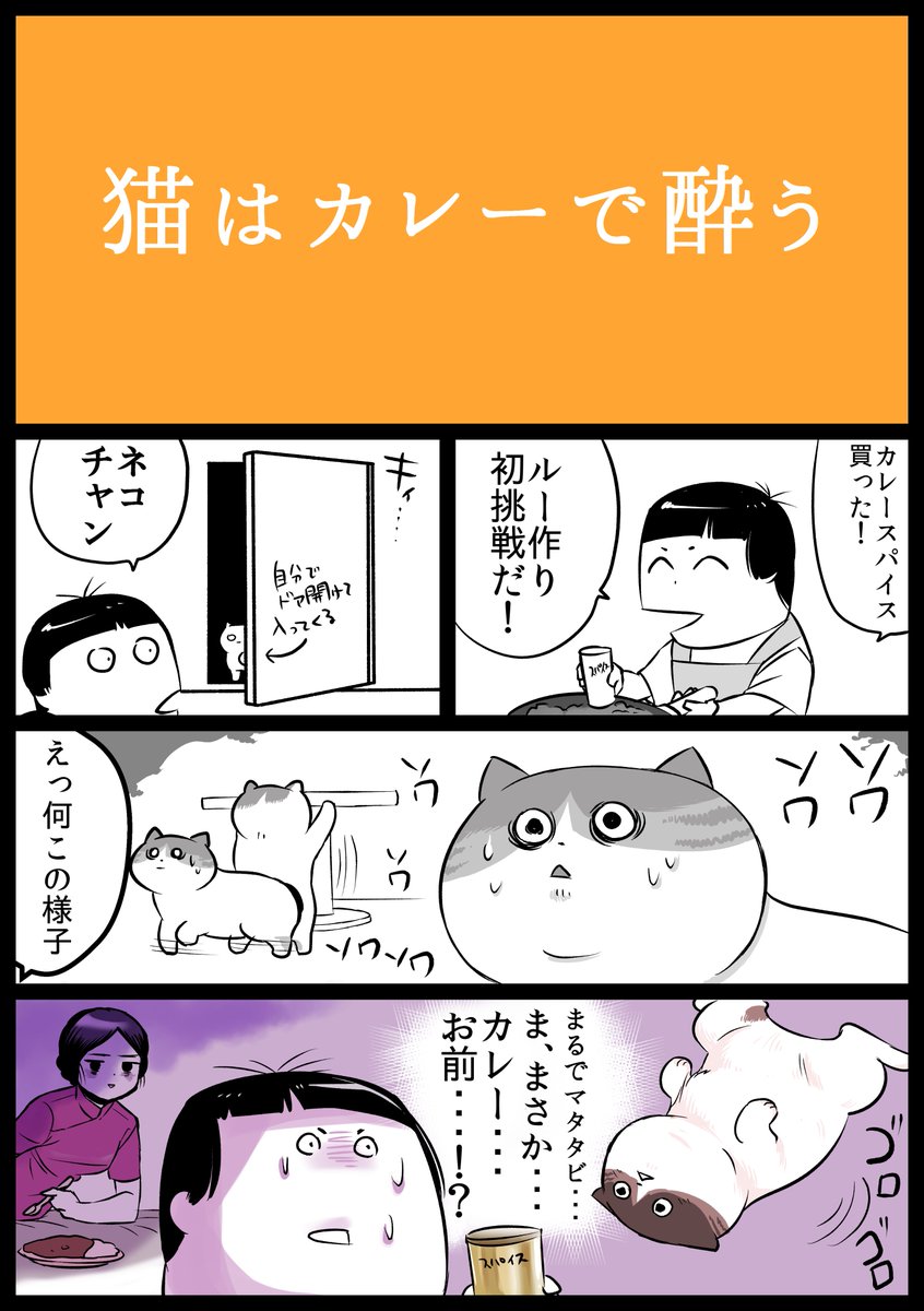 【#食い意地のはった猫 13】
もしやと思って猫とカレーぐぐったら
同じような症例がいくつもある。
人間にとってもそうか。

昨日は若おかみは小学生を見てから号泣して
頭痛くなって寝込んでたので
今日二枚更新しますね。
エアコミティアとして参加できないかな。
#猫漫画 #猫のいる暮らし #JR漫画 