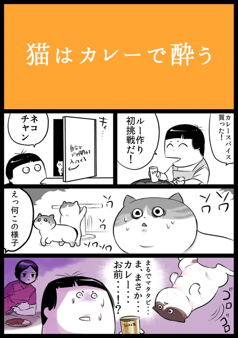 【#食い意地のはった猫 13】もしやと思って猫とカレーぐぐったら同じような症例がいくつもある。人間にとってもそうか。昨日は若おかみは小学生を見てから号泣して頭痛くなって寝込んでたので今日二枚更新しますね。エアコミティアとして参加できないかな。#猫漫画 #猫のいる暮らし #JR漫画 