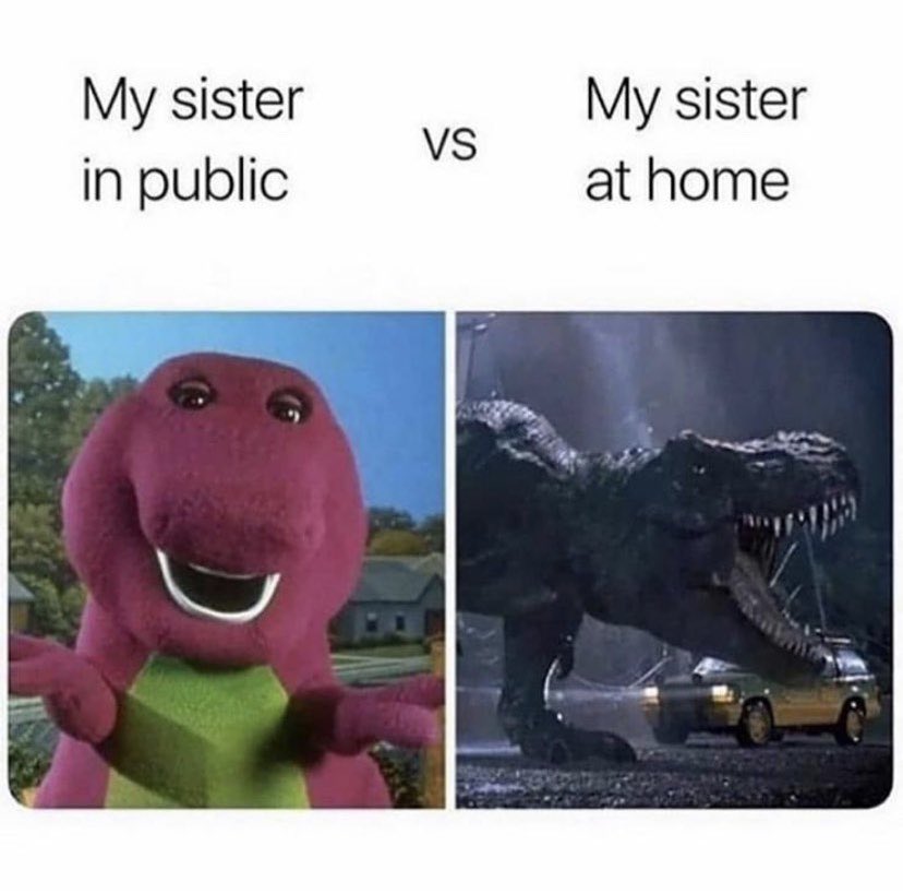 Caliqueen86's tweet photo. It be like that sometimes π€·π½ββοΈ πππ #sorrynotsorry #oldestsiblingproblems #lovemeforme #memesofinstagram #memeoftheday #family #bipolar #trex #barney https://t.co/PrKaNEX86B