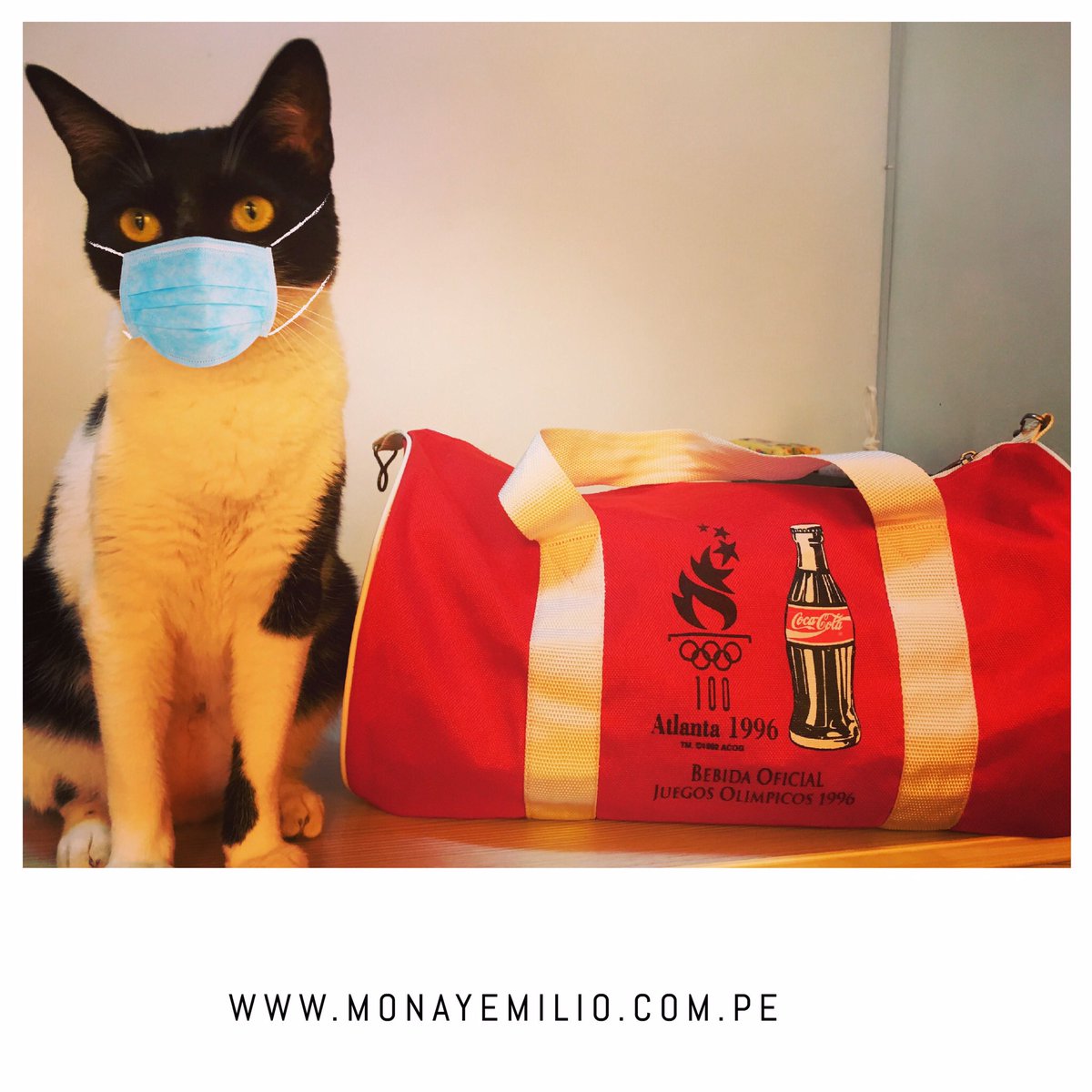 monayemilio's tweet photo. Síii, así como Mona, puedes lucir tus bolsos Coca Cola para ir a realizar tus compras,pero lo más importante! (Revisa la imagen)😷Usa tu mascarilla😷 #monayemilio #tecuidomecuidas 
#lastravesurasdeMona #covidcats #coronavirus #yomequedoencasa  #quédateencasa  #cocacola #Covid_19 https://t.co/j9bKLnRZoS