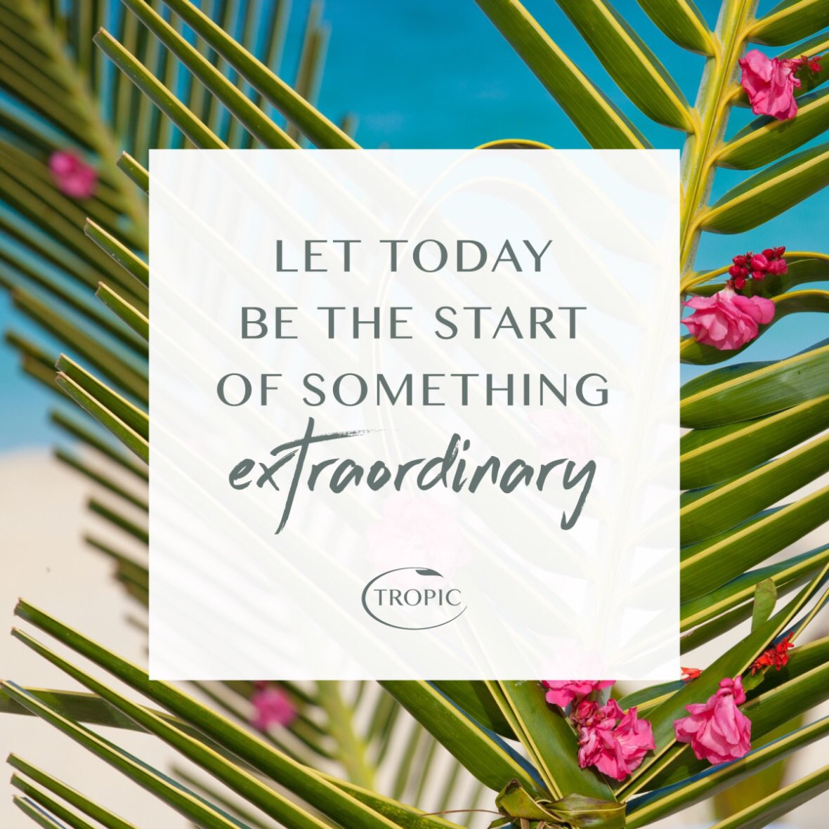 Joelysisson's tweet photo. Hi everyone! 

I’m now an Ambassador for #tropicskincare! 

Have a look on my web store at our fabulous products!

https://t.co/8GyzPLptO3

Any questions, send me a DM.

Lots of love, Joely x https://t.co/fFsmFM8Zsn