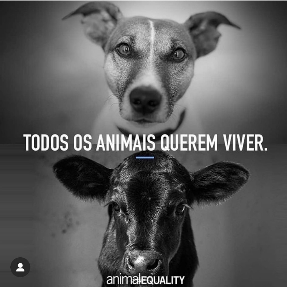 oliveira_susie's tweet photo. Stop loving one and then paying to torture and kill others. It makes no sense!
ALL animals feel PAIN.
Please,
Have #mercyfortheanimals
#GoVegan https://t.co/12HcaQvrlV