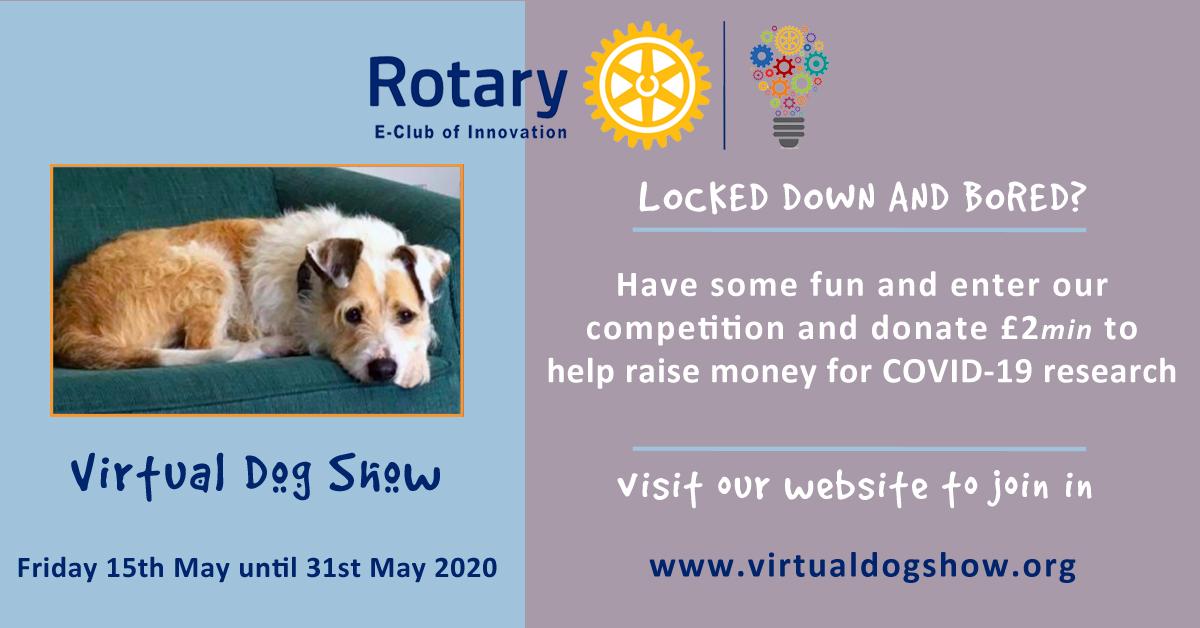 GabriellavanRij's tweet photo. #Rotary Eclub of Innovation is doing something that is fun and contributes to Covid19! Won't you join us https://t.co/Ww8CbR4vaT #Dogshow #virtual #Rotary #dogs #DogsOnZoom #virtualdogs #DogsofTwittter https://t.co/vIpIhF99KH