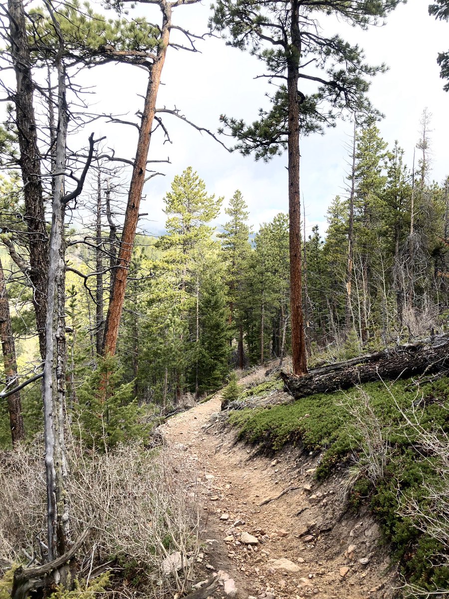 stephaniebutzer's tweet photo. Nothing is better first thing in the morning than a big ole cup of empty singletrack. #trailrunning #thencoffee #COPublicLandsDay https://t.co/owDgglnPkk