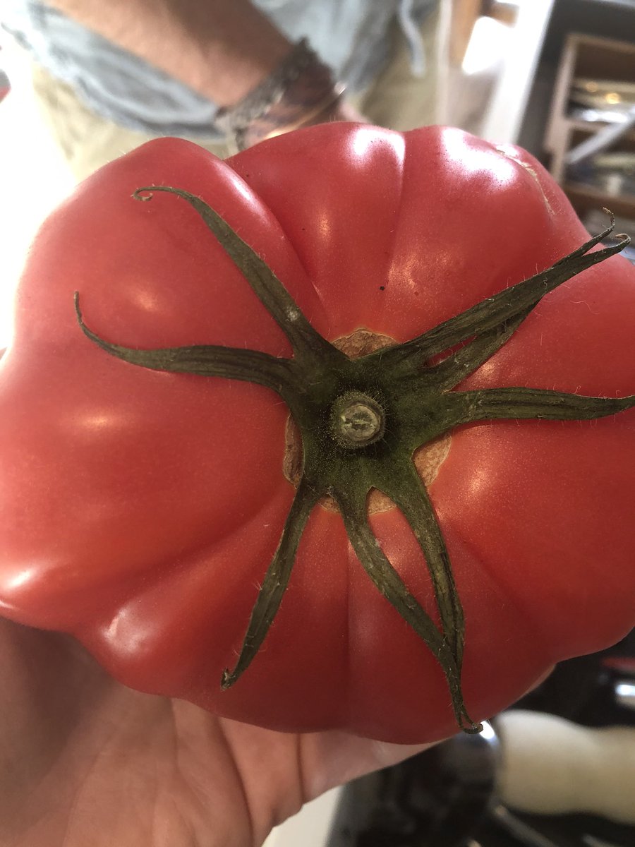 Is anyone else having very vivid, very detailed and very diverse dreams at the moment? Every night it’s insane, tiring, and I wake up most mornings exhausted.....photo is randomn