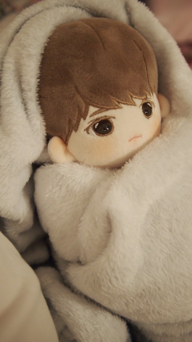 Babyleechan_'s tweet photo. Your new wallpaper 📲🤍 
#babyleechan_
#ตลาดนัดสวนแครอท #ตลาดนัดเซเว่นทีน #ตุ๊กตาเซบ #seventeendoll #DINO #디노 https://t.co/xiOVBzVqvj