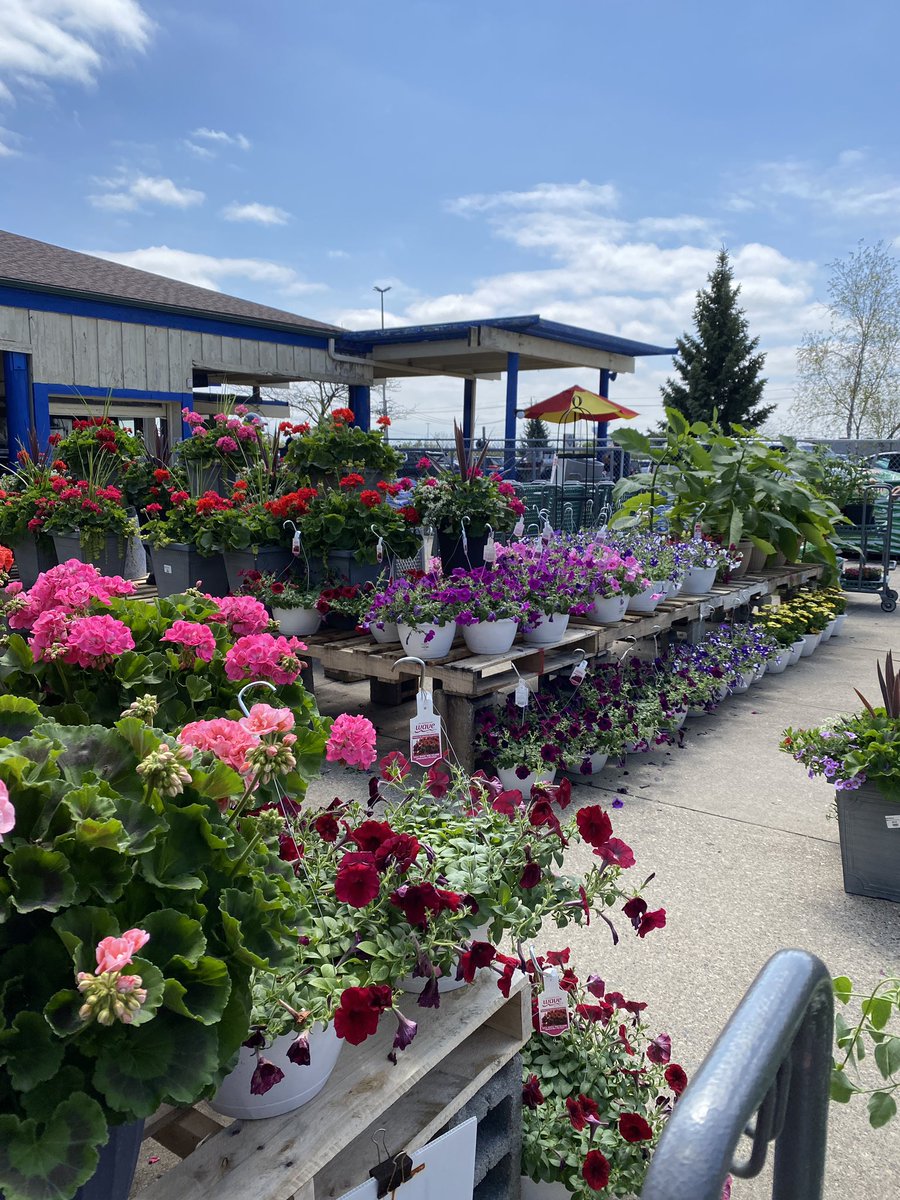 Terri DeBoer tweet media