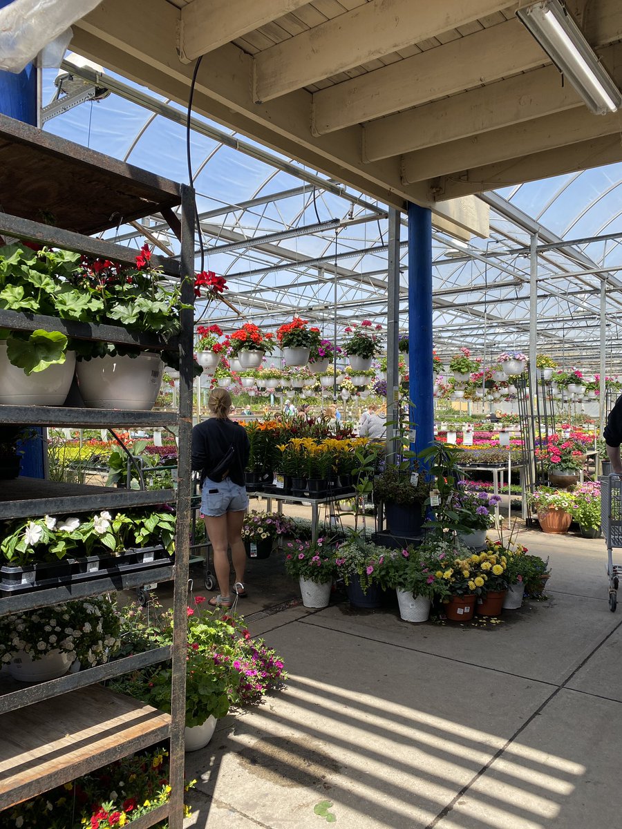 Terri DeBoer tweet media