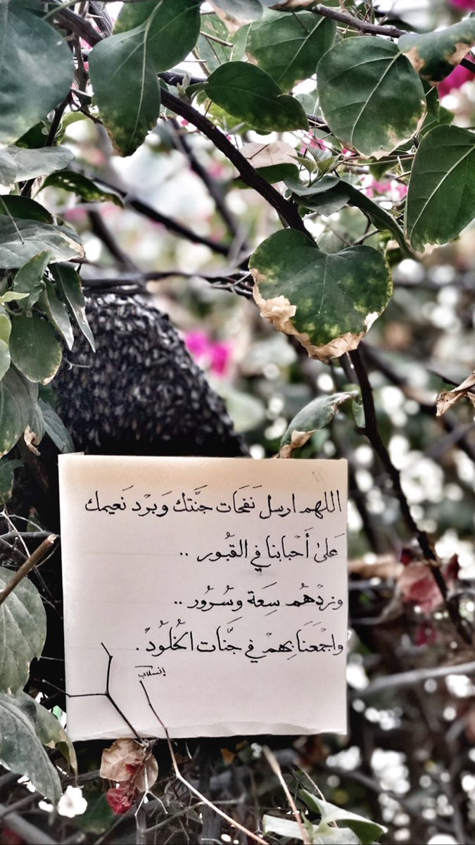w89_jh's tweet photo. "اللهُم إنك عفوٌ تُحب العفو فاعفُ عنا"💙🌙.
.
.
#خليك_في_البيت #رمضان #ليله_القدر https://t.co/j3h4zs28tu