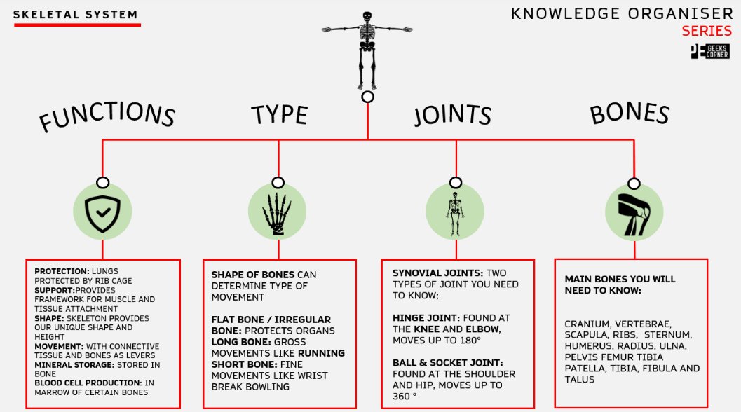 Zeph Bennett tweet media