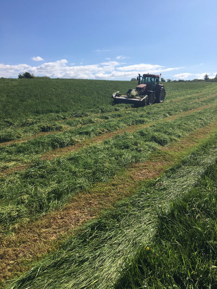 Dan O Shea tweet media