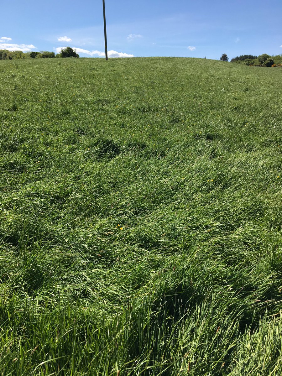 Dan O Shea tweet media