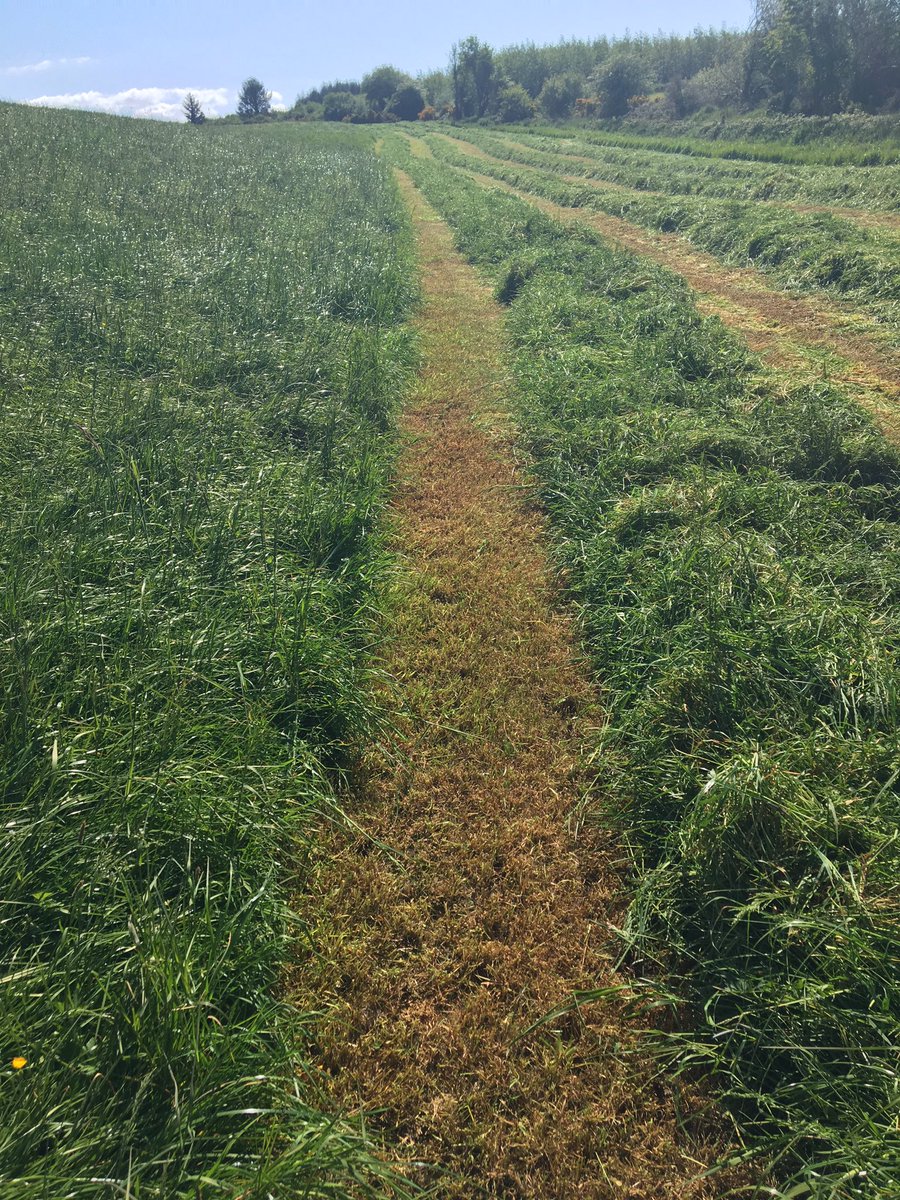 Dan O Shea tweet media