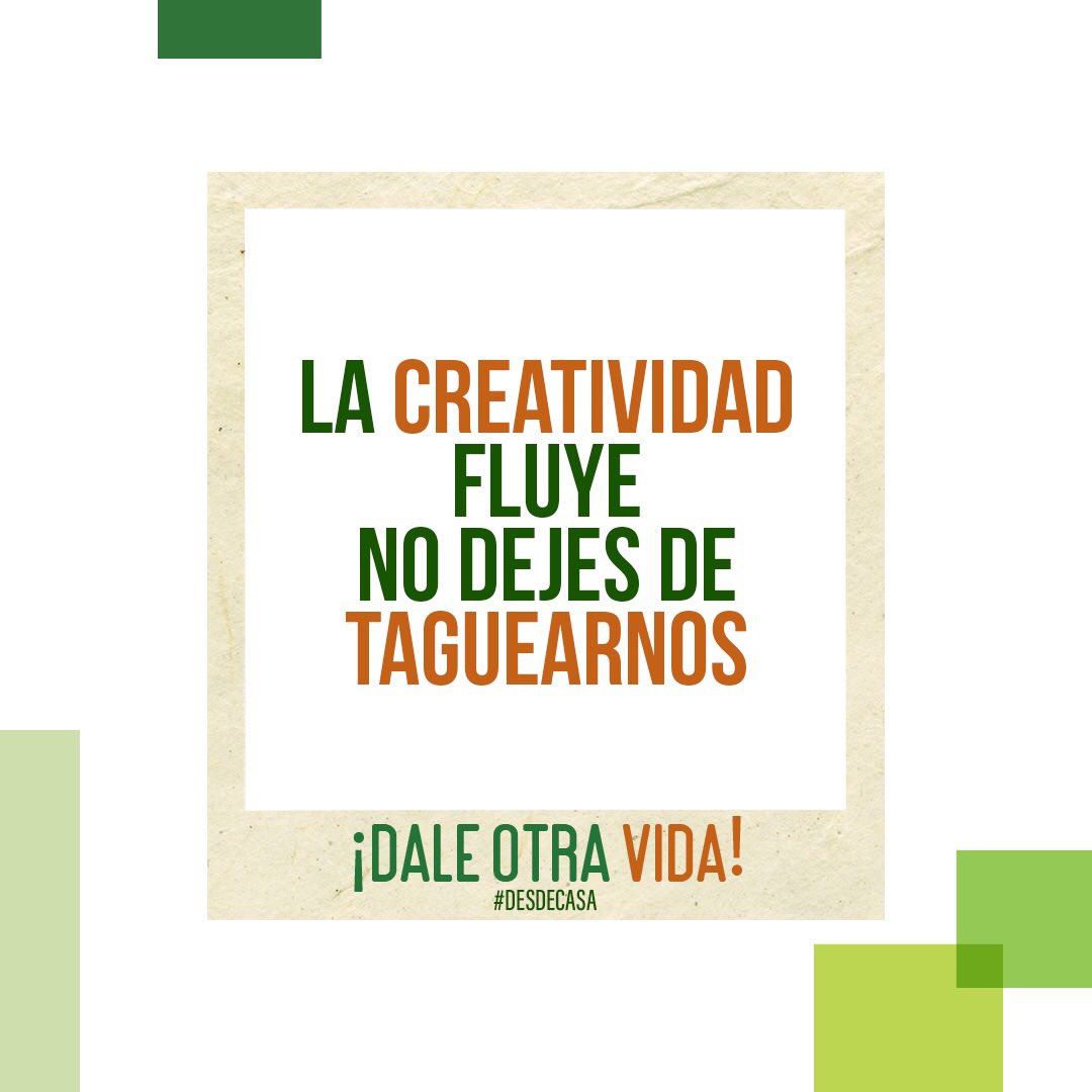 CRPANAMAORG's tweet photo. BUENAS NOTICIA 🙌🏻
¡DALE OTRA VIDA! a tus residuos en 🏡 / La creatividad fluye, no dejes de taguearnos x Instagram / Extendimos la hora hasta las 4:00 p.m., sigue posteando tu foto o video ♻️
#DaleOtraVida #DesdeCasa 🏠
#RenovandoElPlaneta
#PorUnPanamáMejor
#PorUnMundoMuchoMejor https://t.co/qChB8W09JN