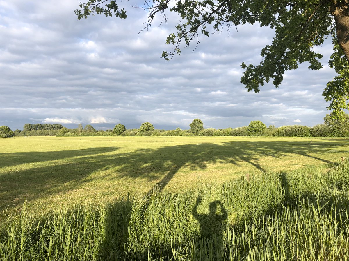 RickResarro's tweet photo. Finish a day of #writing my #thriller with taking an evening stroll, nearby #Utrecht in the netherlands in a region known for its rolling meadows and magnificent castles. #shadowfie https://t.co/L2ILh8Hf6C
