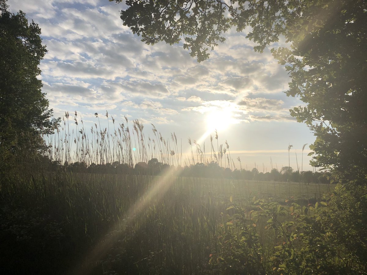 RickResarro's tweet photo. Finish a day of #writing my #thriller with taking an evening stroll, nearby #Utrecht in the netherlands in a region known for its rolling meadows and magnificent castles. #shadowfie https://t.co/L2ILh8Hf6C