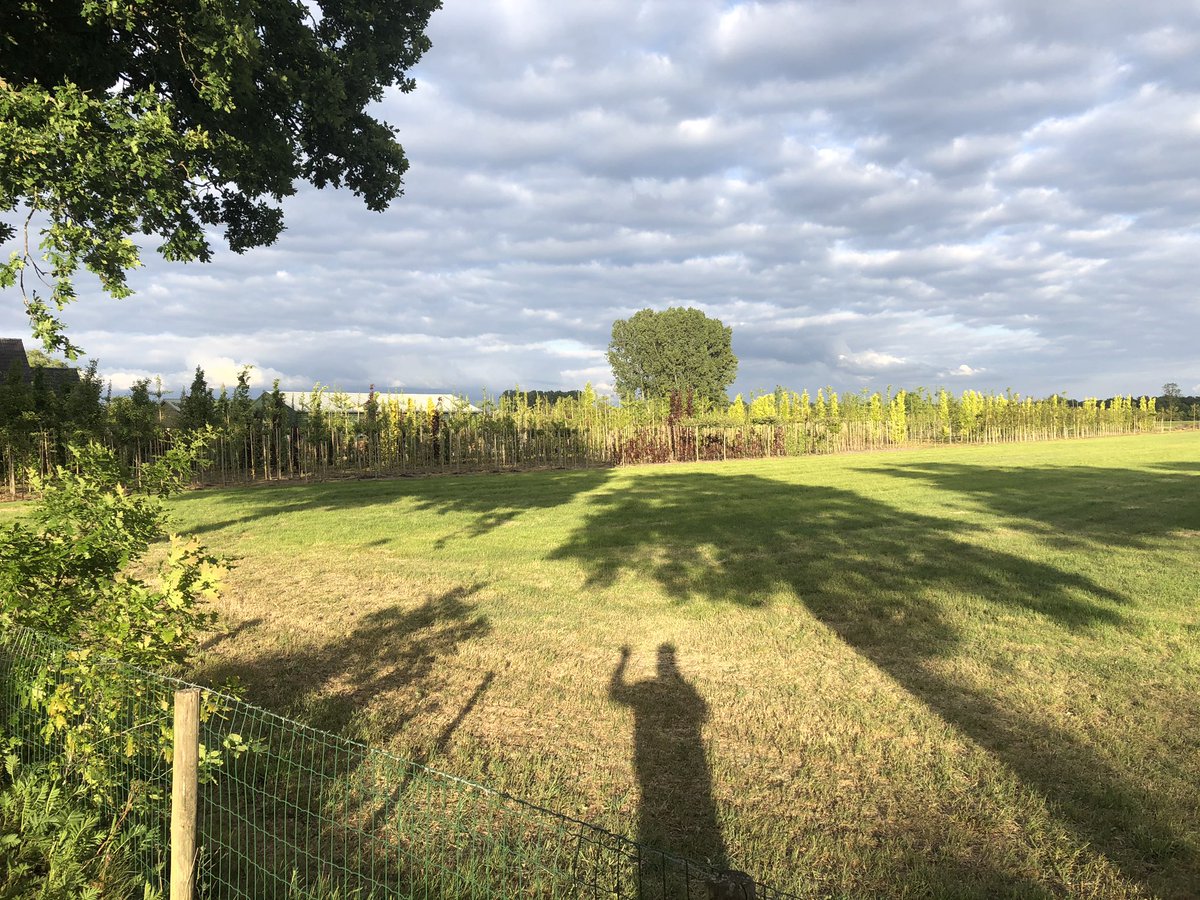 RickResarro's tweet photo. Finish a day of #writing my #thriller with taking an evening stroll, nearby #Utrecht in the netherlands in a region known for its rolling meadows and magnificent castles. #shadowfie https://t.co/L2ILh8Hf6C