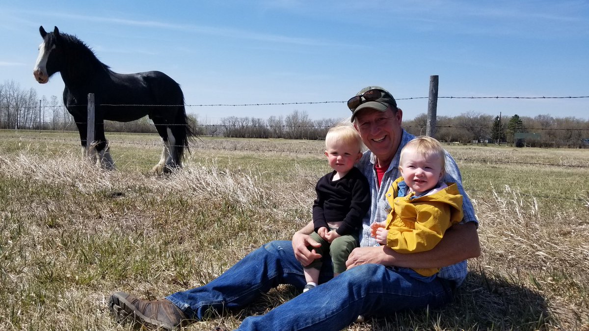 halsteada11's tweet photo. Lunch in the field and an early birthday celebration for papa! The kiddos loved having the neigh neigh come by. @AgMoreThanEver #familyfarm #plant20 #halsteadlandandcattleltd https://t.co/sWdpC2dEi7