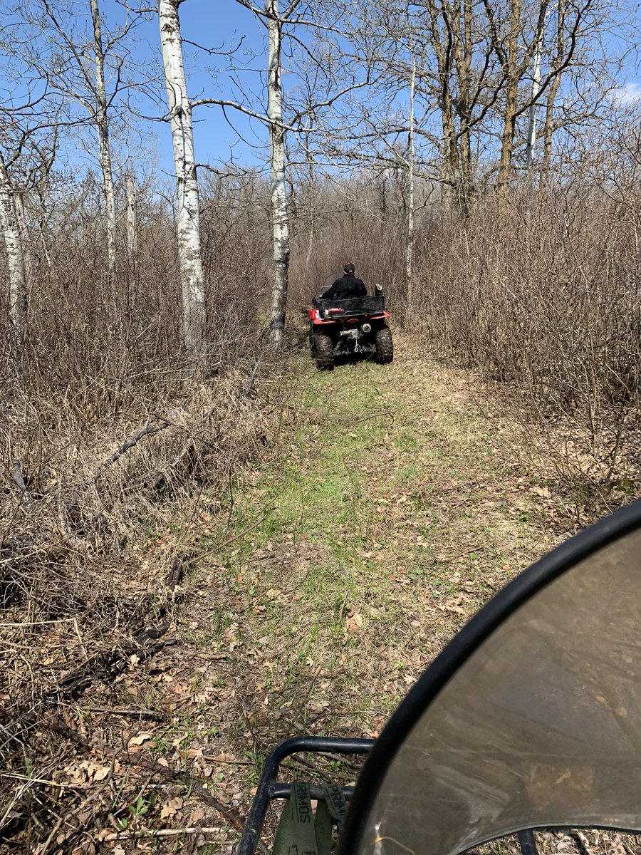 willgoodon's tweet photo. I do know how lucky I am to hang out with my dad. Yesterday we went for a little quad ride in the bush, found some moose n elk tracks, saw where the beavers do beaver stuff. #Metis #turtlemountain #sharpelake https://t.co/77KOIAHywD