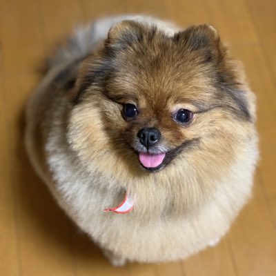 hiroaki_0612's tweet photo. #新しいプロフィール画像 https://t.co/3HIt5R7qDk