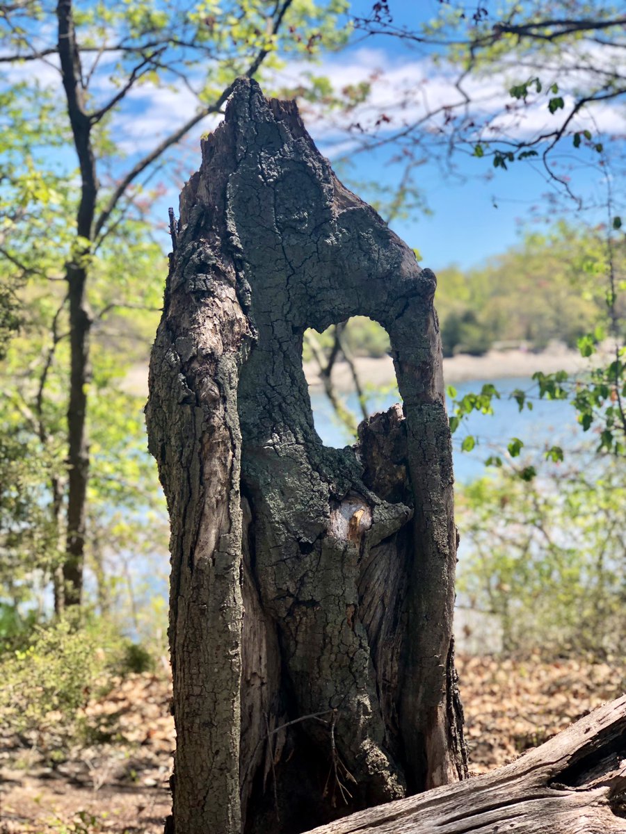 Emjay1028's tweet photo. Another Saturday hike. This time featuring salty breezes. #SpringPerfection #MJWeather #MomLife #QuaratineLife #SociallyDistant https://t.co/rEKirc3qkZ