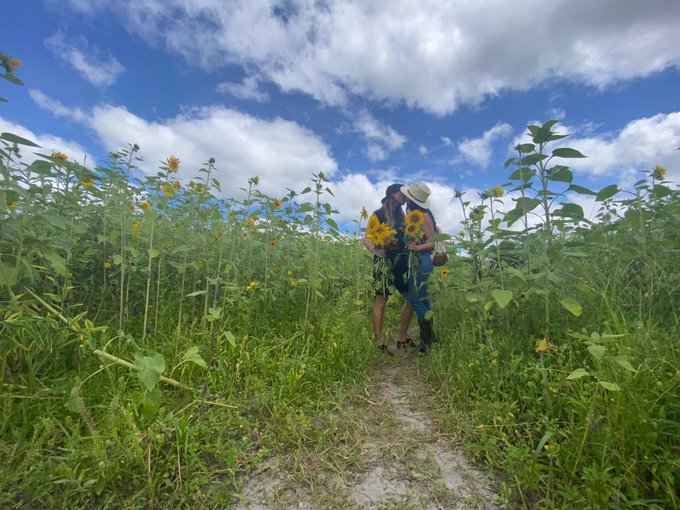 Little surprise adventure today 🌻 https://t.co/54NzqNHPmt<a href="/tag/mondaymood"class="tags"><span>#mondaymood</span></a>