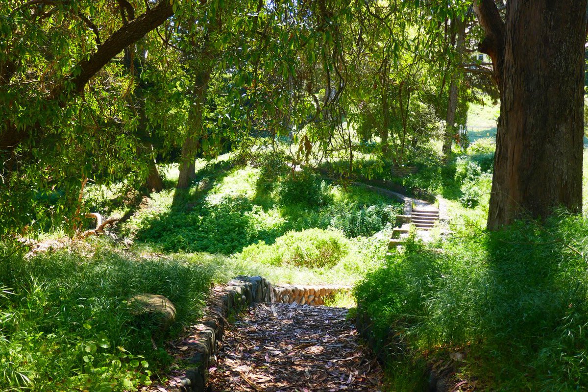 “Dragonfly Creek to Fort Scott - Presidio” new Hike Notes
hikingautism.com/dragonfly-cree…
#hiking #autism #nature #outdoors #photography #Presidio #SanFrancisco #historicsite #FortScott #GoldenGateBridge #hikes #trails #paths #walking #citywalks #stonebridge