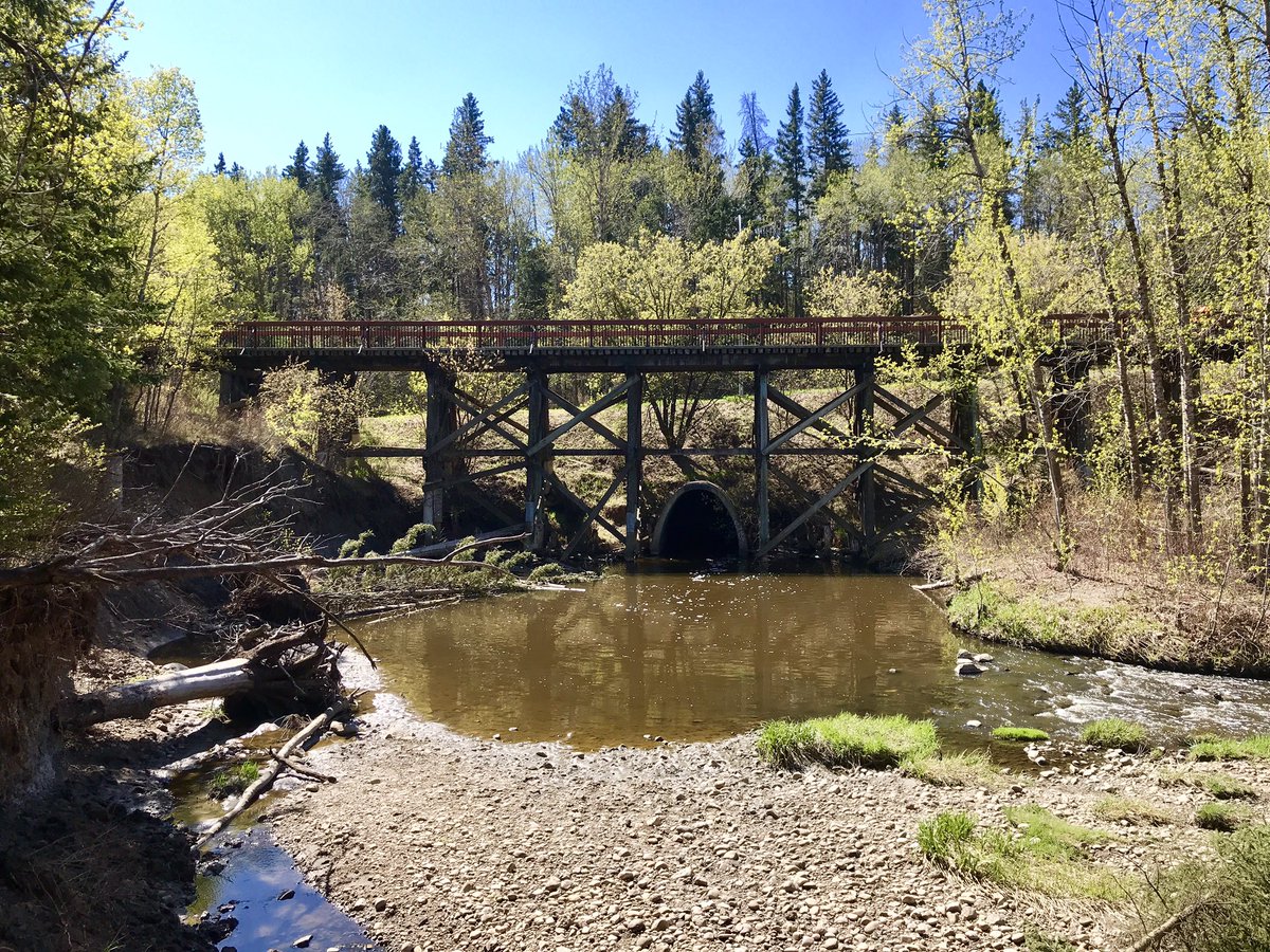 Lisa Heerensperger (@trailtocity) on Twitter photo Anyone else feel like #yeg river valley rides make you feel very, very free? We are so lucky this is our backyard.
<a href="/RiverValleyPark/">RiverValleyAlliance</a> <a href="/YEGRiverValley/">YEG River Valley</a> Anyone else feel like #yeg river valley rides make you feel very, very free? We are so lucky this is our backyard.
<a href="/RiverValleyPark/">RiverValleyAlliance</a> <a href="/YEGRiverValley/">YEG River Valley</a>