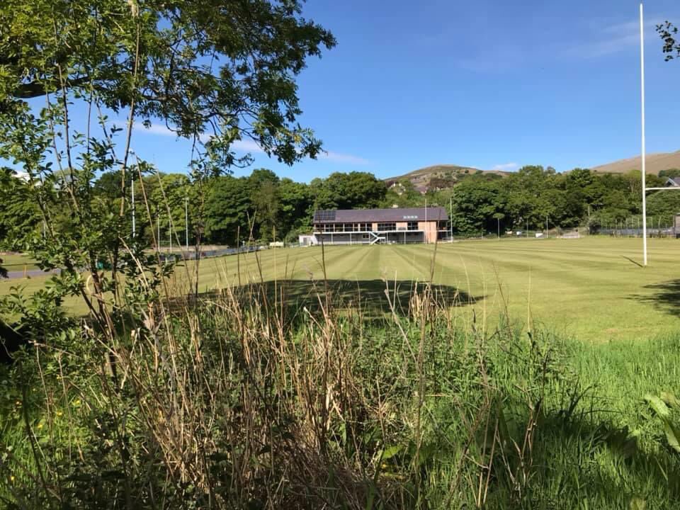 Clwb Rygbi Bethesda tweet media
