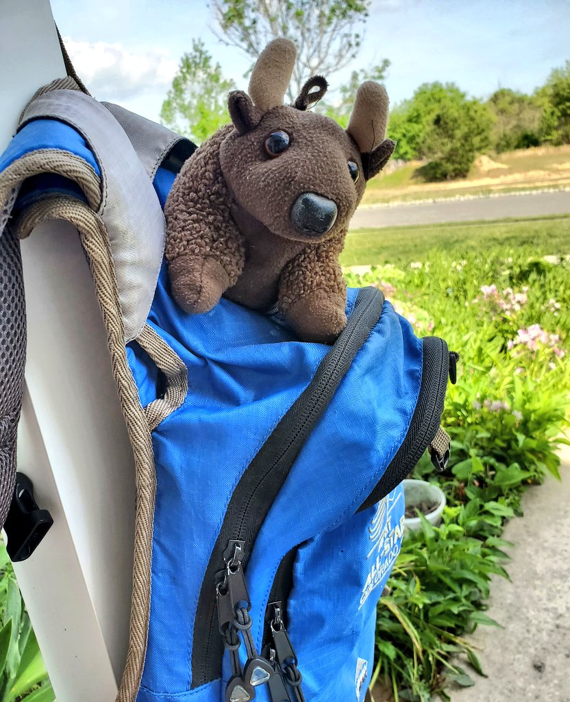 #BuddyBison and I hope you can get outside for #ParksToKids Day today. We spent time watching birds and wildlife from our porch. You can go to kidstoparks.org to find activities you can do at home, and you can download the ParkPassport App for virtual park activities