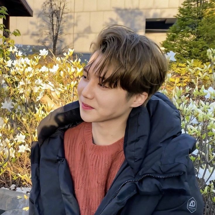 — idols que se defendieron de los haters ; a thread