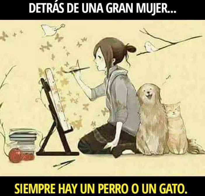 Tierradanimales's tweet photo. .#PerroOGato los mejores compañeros https://t.co/fr1ybjj7Lh