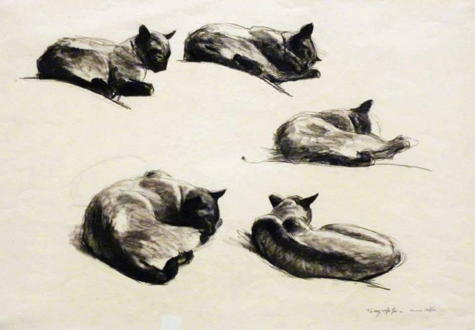 Edward Hopper, Cat Studies, 1920