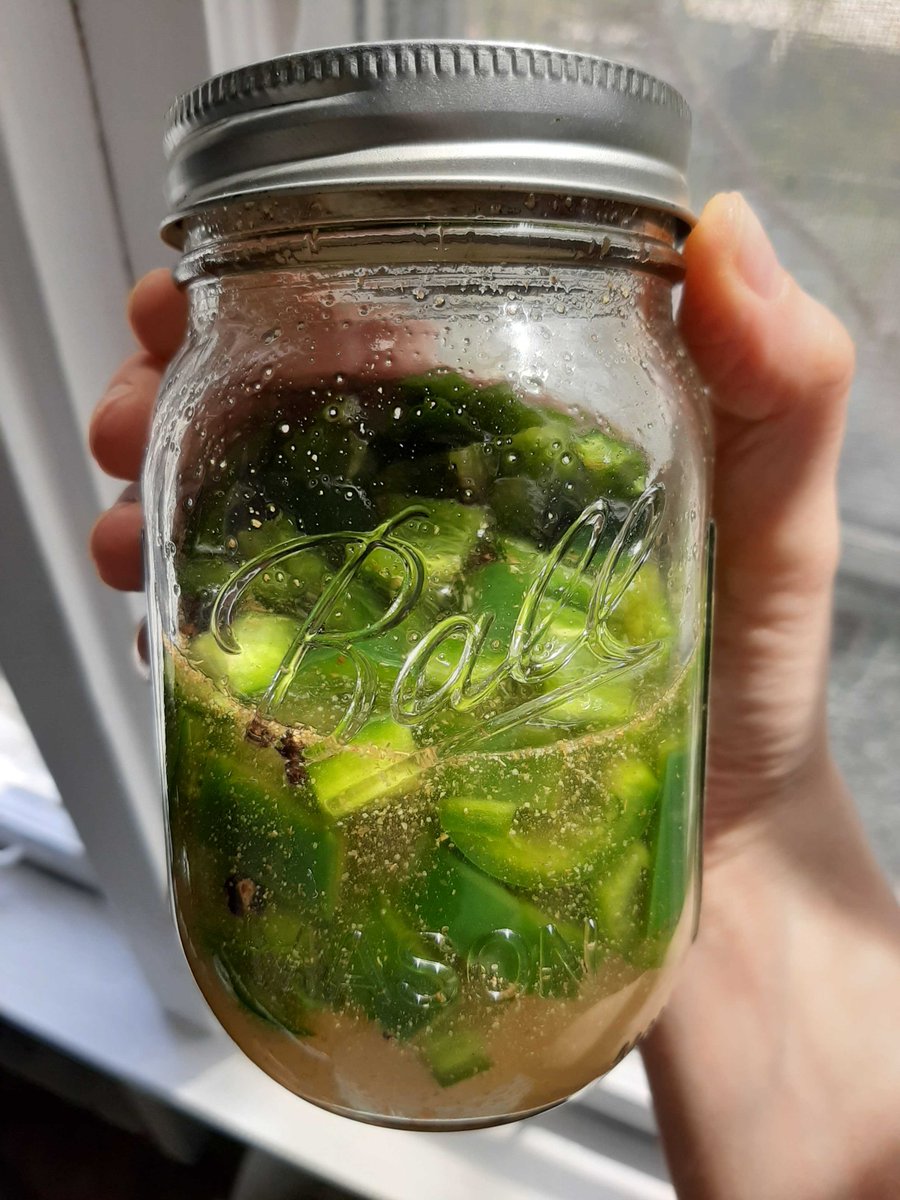msichicago's tweet photo. Pepper fermentation in progress for very important study on hot sauce. Join in on this experiment in which we predict will yield high satisfaction to your taste buds at https://t.co/WyH73Bzaqz. #HungryForScience https://t.co/3VaWBM7nxj
