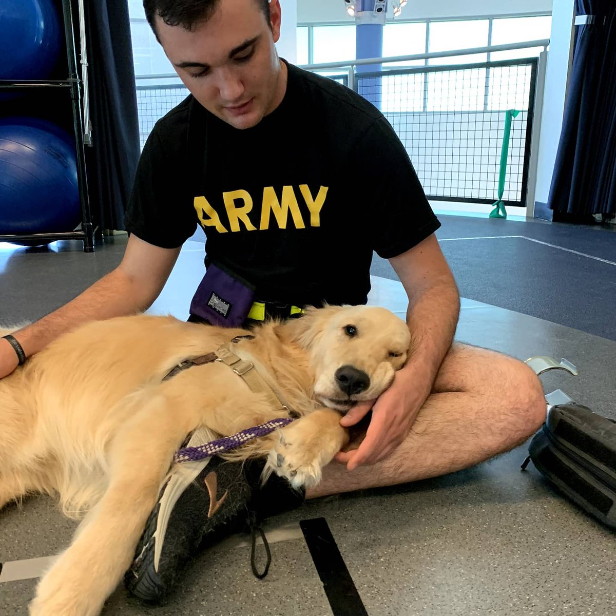 Paws4Sa's tweet photo. Thank you to our armed forces for all your sacrifice, hard work, and every moment spent away from family and loved ones. Please tag your loved one so that we can thank them personally 💜 🐾  #pawsforpurplehearts #nonprofit #servicedogintraining #pphNoah #pphRiley #armedforcesday https://t.co/fNMuQYfYkp