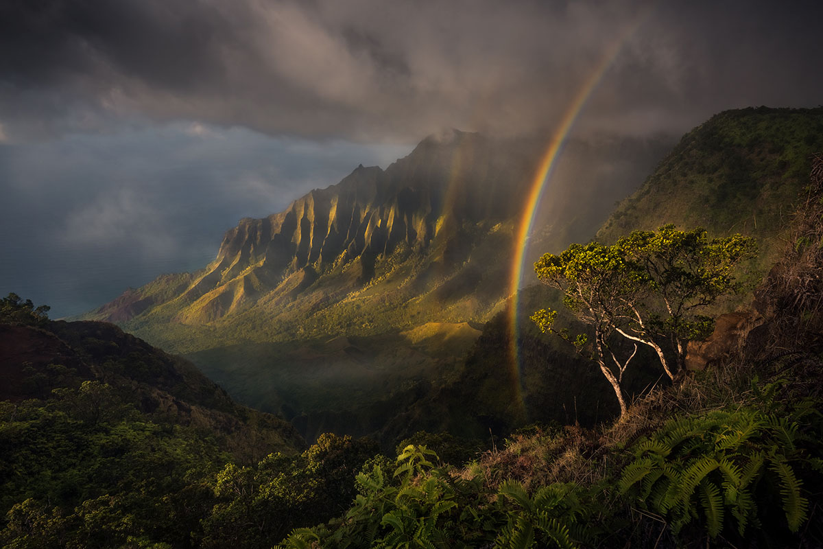 OutdoorPhotoMag's tweet photo. This is your last chance! Enter our The American Landscape photo contest by May 19, and you could win $1,000 cash, prizes from Tamron, Haida, and more! Here is last year's winning image, "Jurassic" by Matt Meisenheimer. #TAL20
https://t.co/K8UoBgwSRT https://t.co/LFb7vI2DID