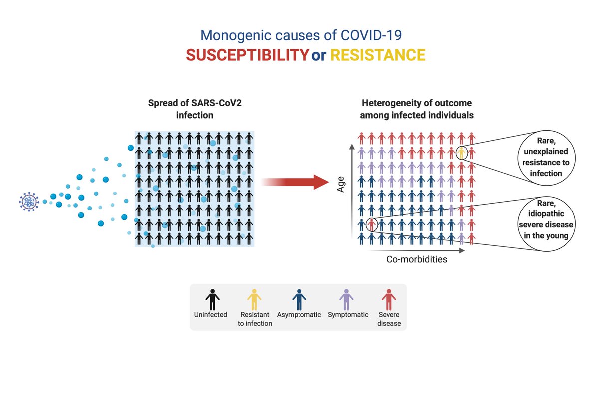 casanova_lab's tweet photo. I'm delighted to share the pre-print of the "manifesto" of our #COVID19 Human Genetic Effort, which was posted online by Cell https://t.co/8Y2ReDKhO2 Thoughts, hands, suggestions, critiques, samples, reagents, and even funds welcome 😀 #Covid_19 #coronavirus @CellPressNews https://t.co/MTLKSqkJwZ