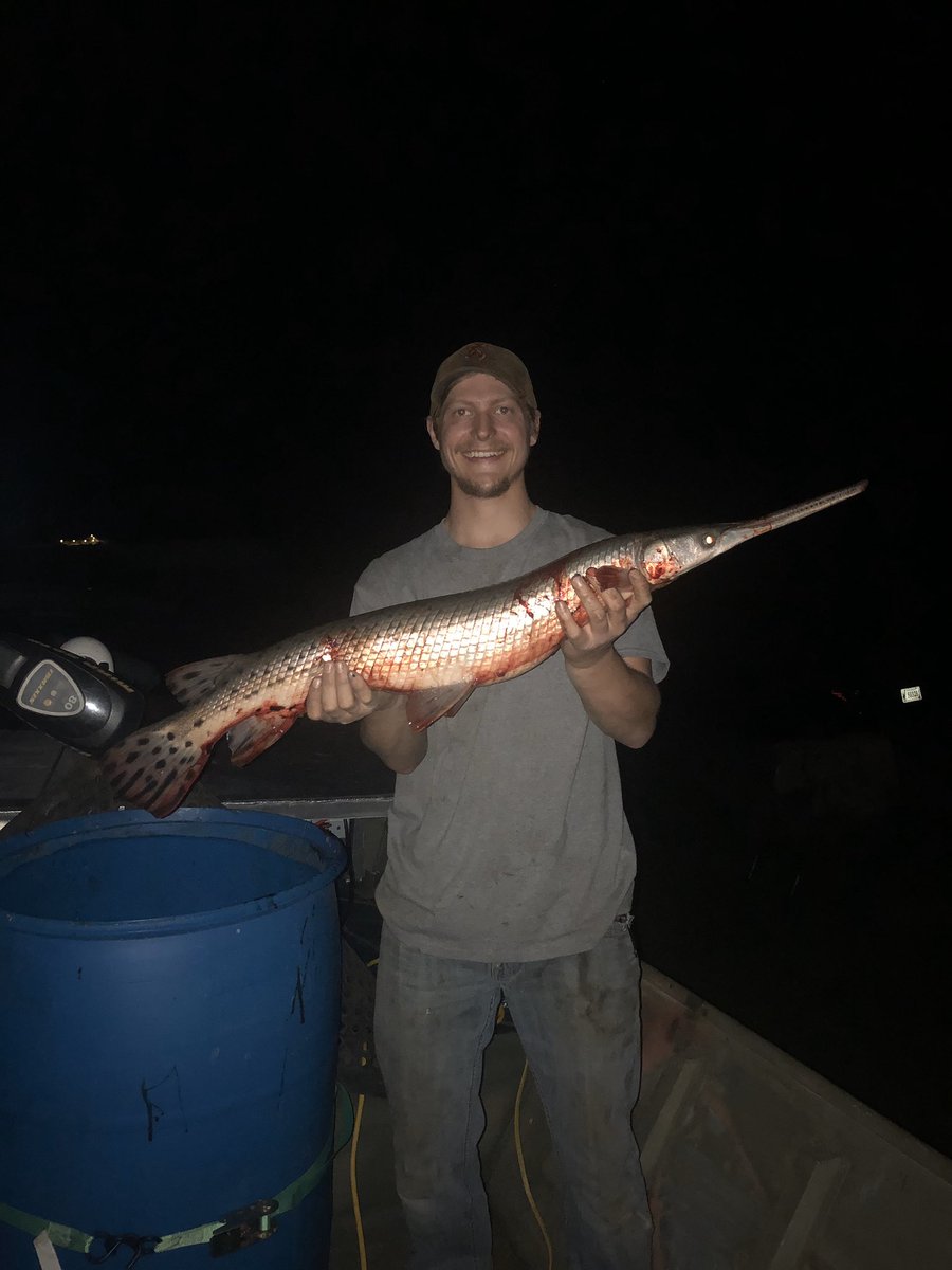 ReapersOutdrAdv's tweet photo. Went out on separate boats last night and we were all able to shoot some fish! More pictures to come! #bowfishing #punchinholes #amsbowfishing #reapersoutdooradventures #getreaped https://t.co/FiHS4IKlwp