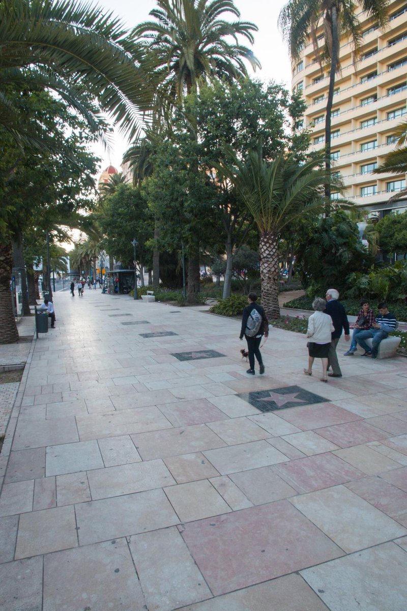 Área Cultura y Patrimonio Histórico de Málaga tweet media