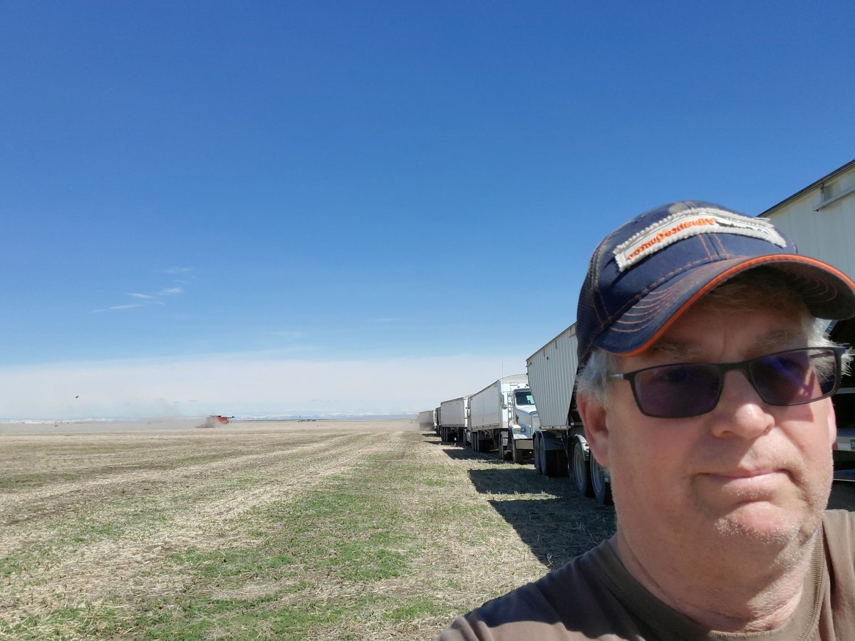 bisdvd's tweet photo. Combining the neighbor's Canola May 16 a first for me doing a 1/4 every 2.5 hrs thanks to Dennis Benci for organizing https://t.co/xW4hXWfhFt